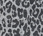 Varaiante GRIGIO_1711