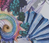 Varaiante PRINCIPINA_MARE