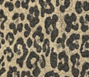 Varaiante TABACCO_1724