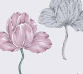 Varaiante 5806_VAR_83