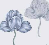 Varaiante 5806_VAR_85