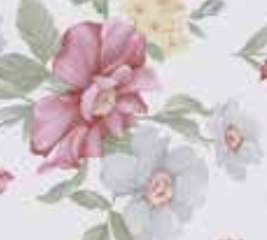 Varaiante 6264_VAR_288