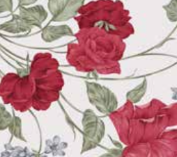 Varaiante 6329_VAR_100