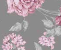 Varaiante 6329_VAR_66