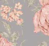 Varaiante 6329_VAR_85