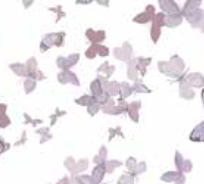 Varaiante 6916_VAR_36