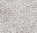 Varaiante 7341_VAR_13