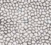 Varaiante 7341_VAR_59