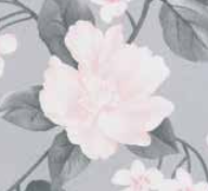 Varaiante 7431_VAR_61