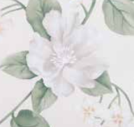 Varaiante 7431_VAR_62