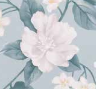 Varaiante 7431_VAR_66