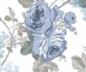 Varaiante 7586_VAR_75