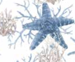 Varaiante 7942_VAR_27