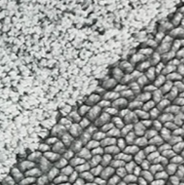 Varaiante ARGENTO-GRIGIOM