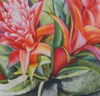 Varaiante GUZMANIA