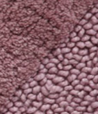 Varaiante ROSA_ANT-ROSA