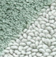 Varaiante SALVIA-VERDE